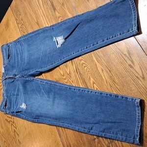AG ADRIANO GOLDSCHMIED Womens 31 Pants Preowned BLUE  DISTRESSED Denim Used